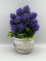 В-24 Цветок пушистый в большом керамическом горшке, цвета в ассортименте, высота 25 см